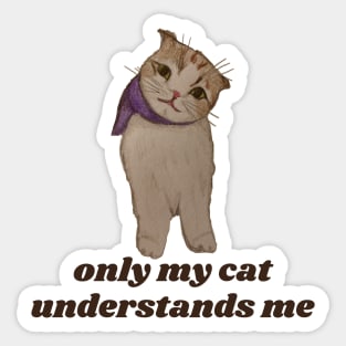 only my cat understands me Sticker